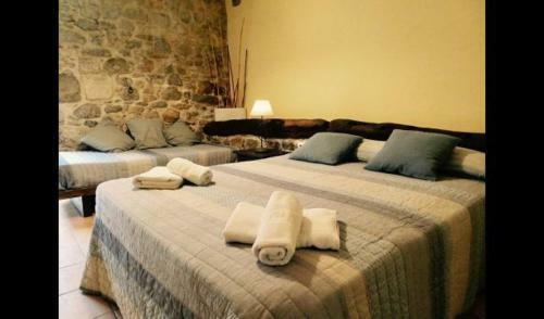 Les Planes D'hostoles Villa Sleeps 14 With Pool