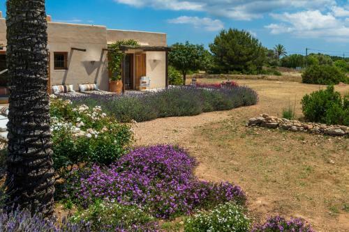 Villa Thesuites Formentera