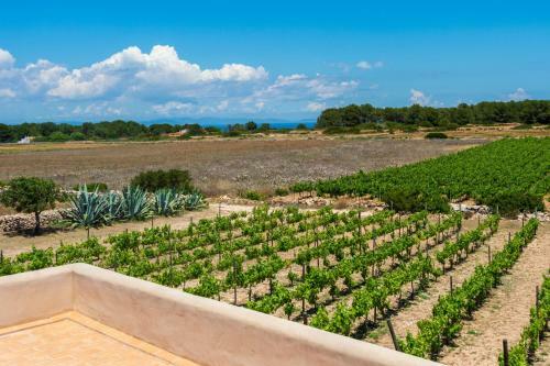 Villa Thesuites Formentera