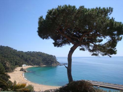 Villa La Gaviota