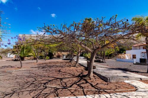 Apartamento Residencial Los Castellanos