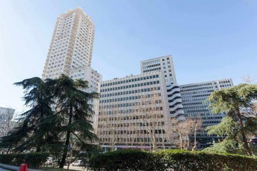 Apartamento Lujo Princesa Gran V�a