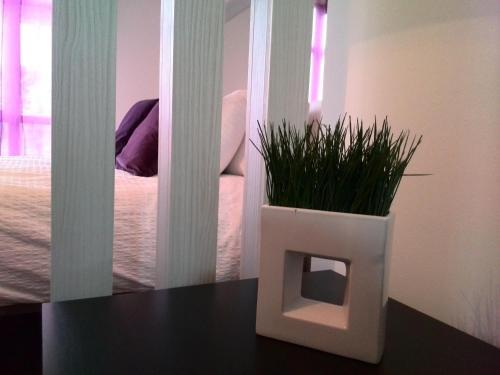 Apartamento Indigo Madeira