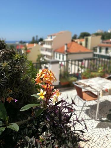 Hostal Pensao Residencial Vila Teresinha