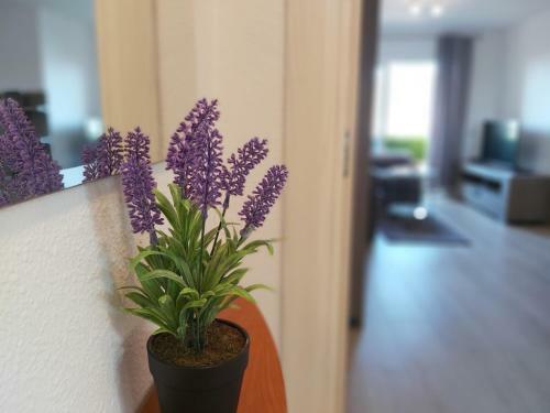 Apartamento Del Parque Flats Guadalmar Beach Relax 2