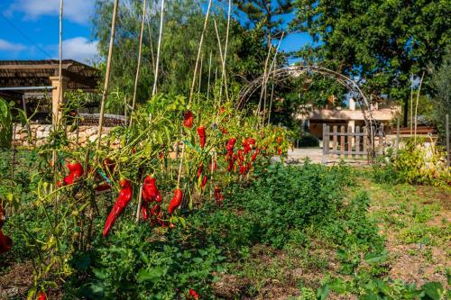 Apartamento Sa Parra de Sa Gruta Vella
