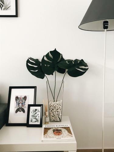 Apartamentos �lite Frida Kahlo