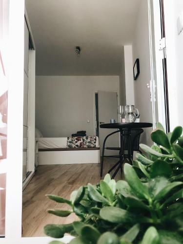 Apartamentos �lite Frida Kahlo