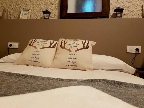 Agroturismo Mas Els Plans -turisme - Dog Friendly