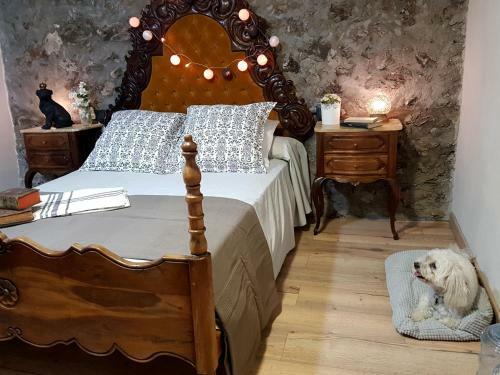 Agroturismo Mas Els Plans -turisme - Dog Friendly