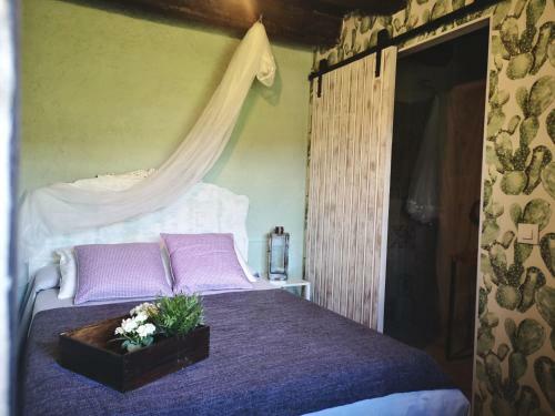 Agroturismo Mas Els Plans -turisme - Dog Friendly