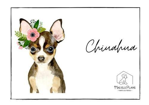 Agroturismo Mas Els Plans -turisme - Dog Friendly