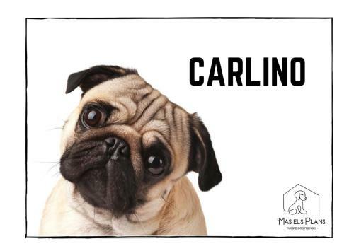 Agroturismo Mas Els Plans -turisme - Dog Friendly