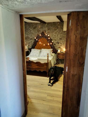 Agroturismo Mas Els Plans -turisme - Dog Friendly