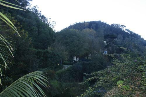 Hotel Sintra Jardim