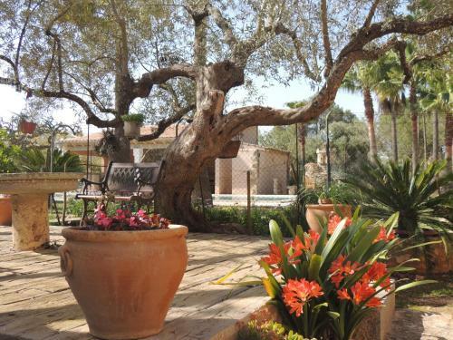 Charming Villa With Pool In Algaida