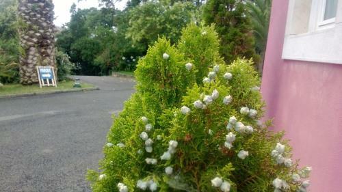 Hostal Quinta De Sao Francisco