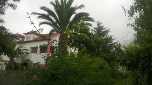 Hostal Quinta De Sao Francisco