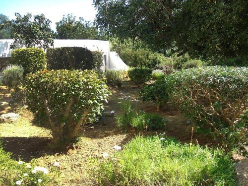 Villa Holiday Home Casa Doroteia