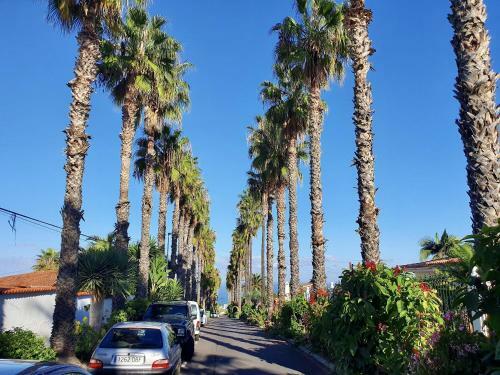 Prime Home San Nicol�s