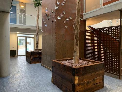 Apartamento Vista Roses Mar - Penthouses