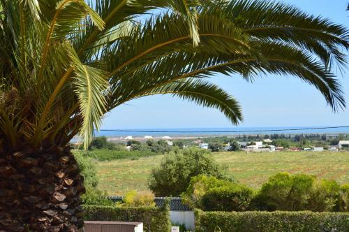 Tavira Vacations Apartments