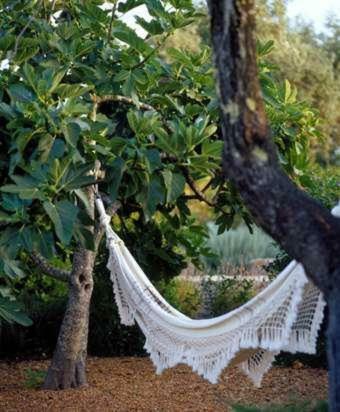 Hotel Quinta Da Lua