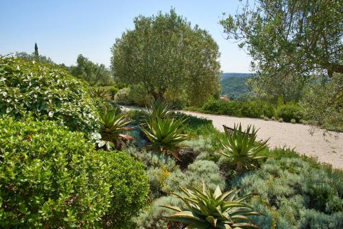 Hotel Rural Quinta Do Marco - Nature & Dining