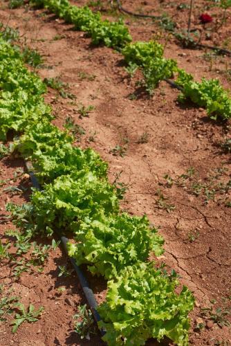 Hotel Rural Quinta Do Marco - Nature & Dining