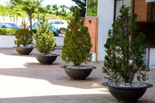 Apartamento Con Vistas Al Mar Sagaro