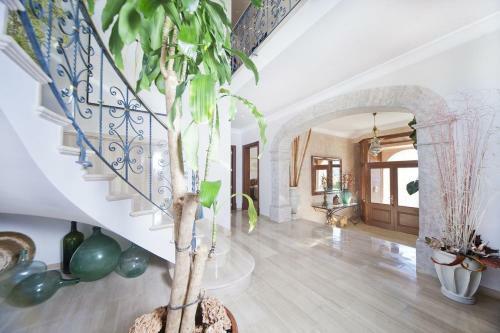 Selva Villa Sleeps 8 With Pool Air Con And Wifi