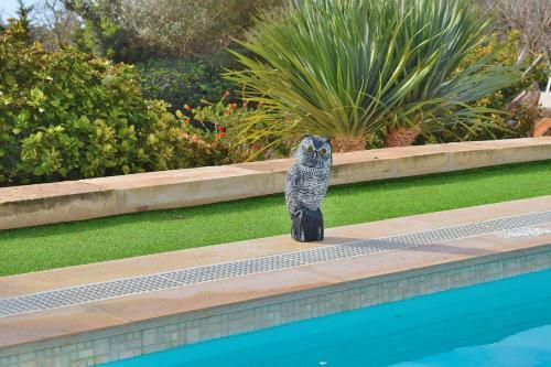 Villa Can Xesquet Cami de Morell Ses Salines 169