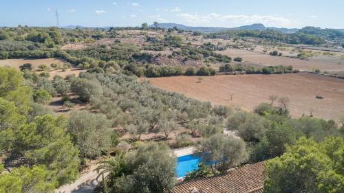 Sineu - 299353