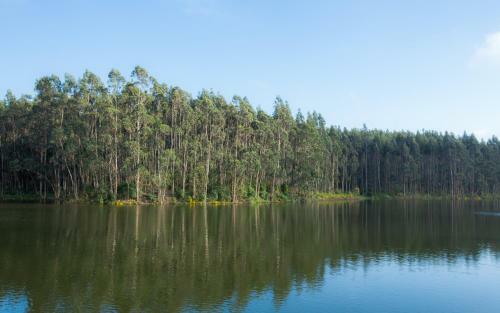 Agroturismo Quinta Do Rol