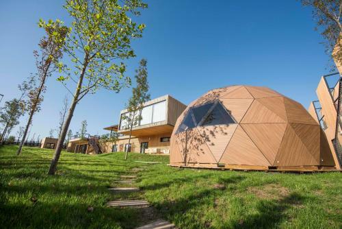 Albergue Moana Eco Surf House
