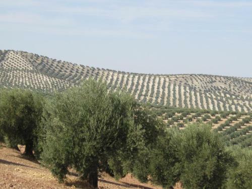 Agroturismo Casa Rural La Pedrisa