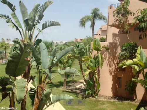 Pleasant Holiday Home In Torre Pacheco With Terrace