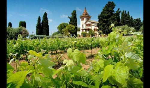 El Vendrell Villa Sleeps 34 With Pool And Air Con