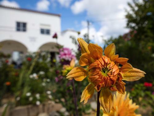 Hostal Residencia Quinta Do Po�o Guesthouse