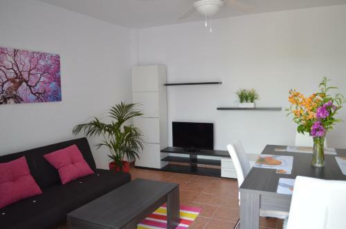 Ground Floor Apartment With Kitchenette, Private Patio, South Facing