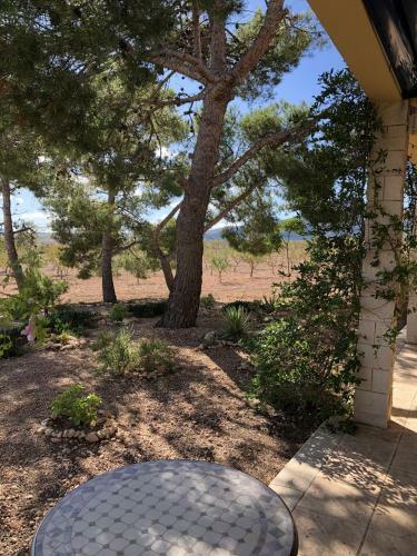 We Love Villas - Villa La Palma