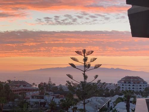 Superb Seaview Apartment In Playa de Las Americas