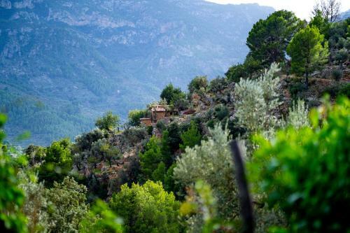 Villa Fornalutx World Heritage