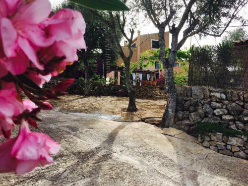 Apartamento Studio Sur In Son Macia Mallorca - Adults Only