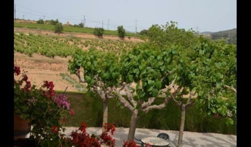Sant Pere Molanta Apartment Sleeps 4 With Pool