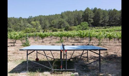 Villa In L'arbocar de Baix Sleeps 9 With Pool