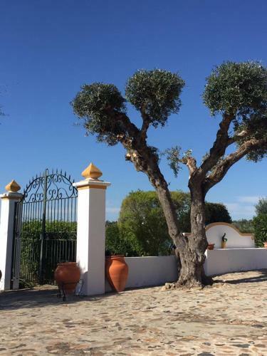 Hostal Monte Dos Aroeirais