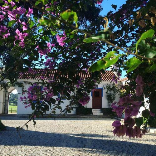 Herdade Da Negrita - Agroturismo