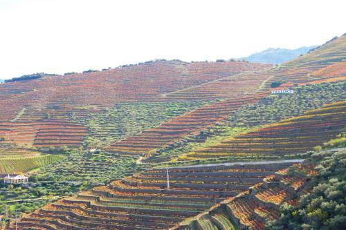 Hostal Douro Fluvina Yachts & Chalets