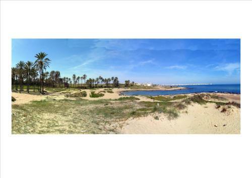-- Front Line -- Apartments In Playa Flamenca